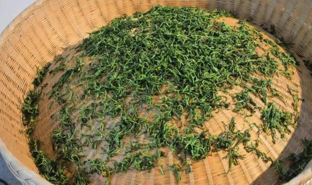 中国的茶山有多厉害，一文看懂茶叶大国江山图
