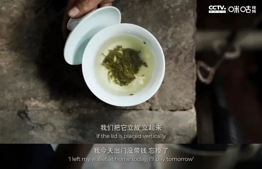 一片树叶里的大故事，BBC镜头下的中国茶