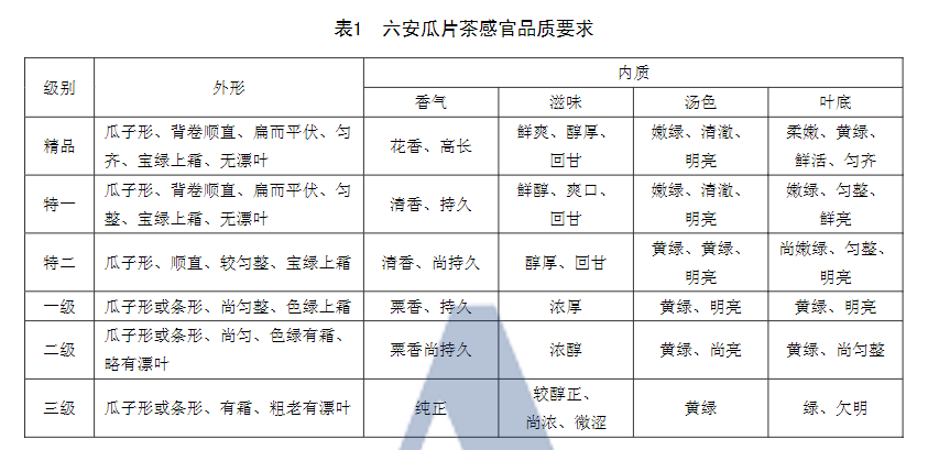 （上图为六安瓜片的等级特征）