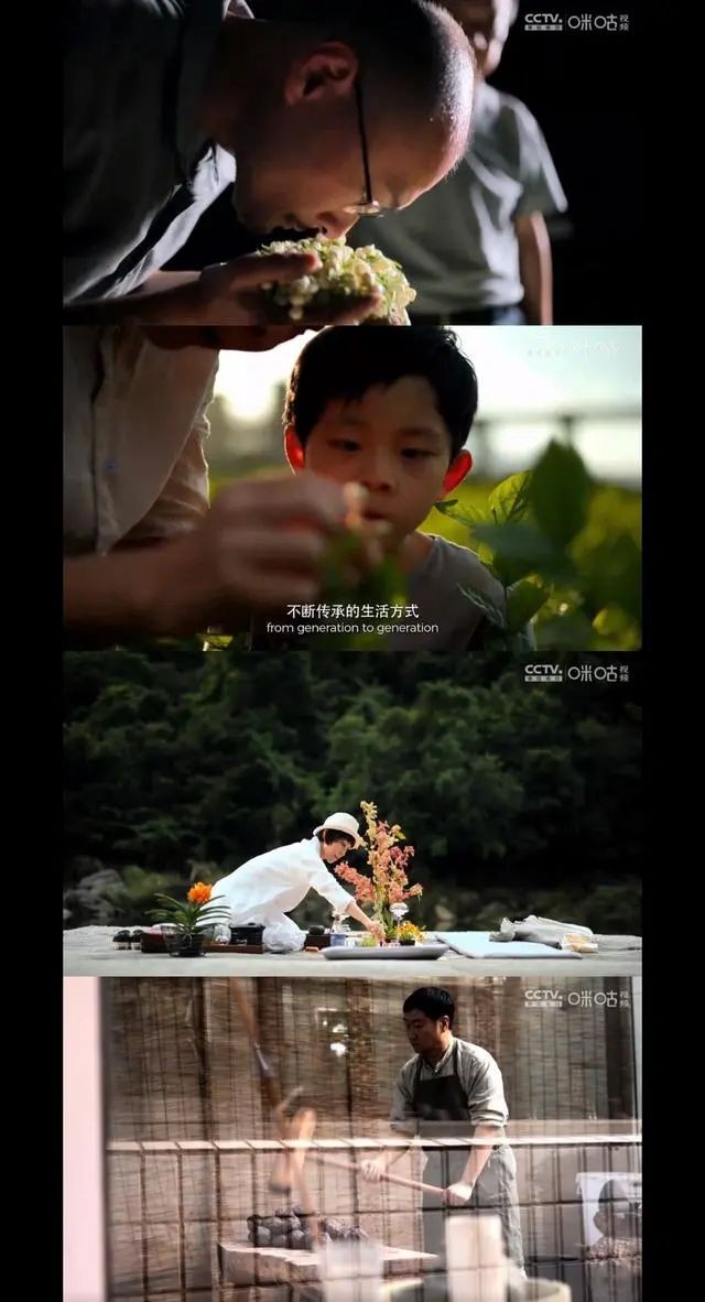 一片树叶里的大故事，BBC镜头下的中国茶