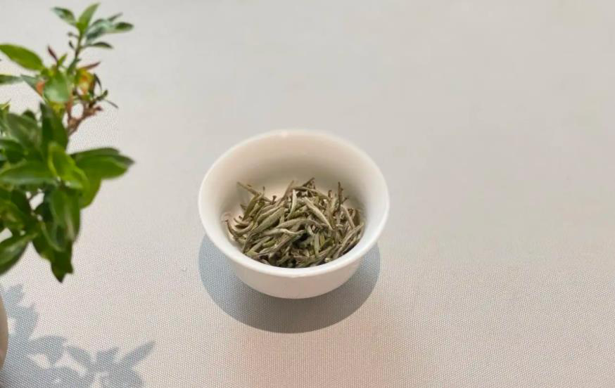 如何选择白茶，散茶好还是紧压茶好