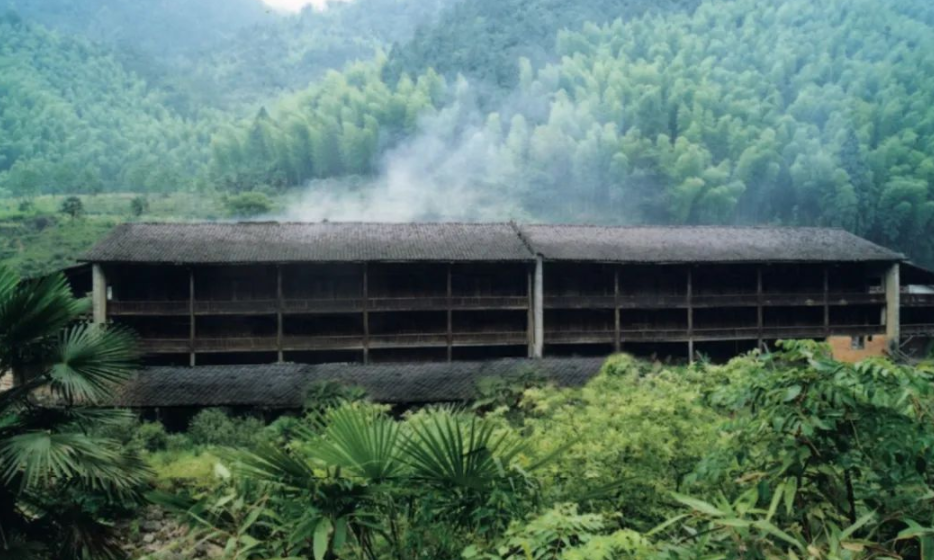 如何辨别正山小种的
