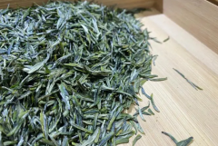 喝茶叶茶有什么好处和坏处，经常喝茶叶好处和坏处