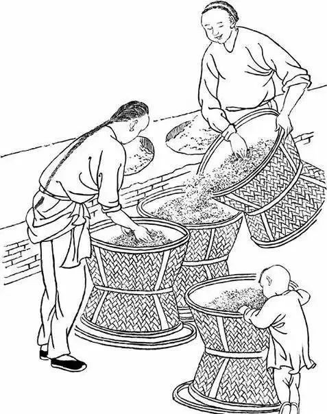 这份武夷岩茶的简介，建议收藏！
