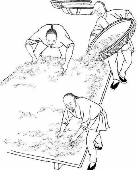 这份武夷岩茶的简介，建议收藏！