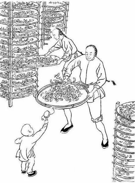 这份武夷岩茶的简介，建议收藏！